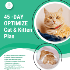 My Optimizer Postal Kit for Cats and Kittens