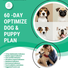 Image of 60-Day Optimize Dog and Puppy Plan by Cell Wellbeing and Robin Clifton
