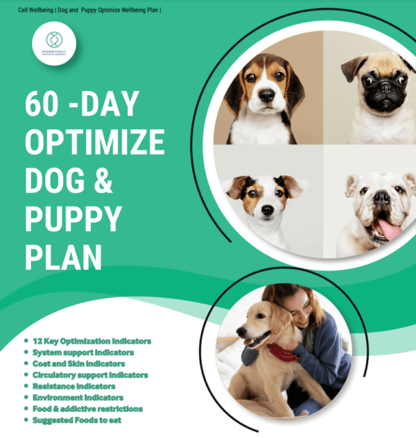 Image of 60-Day Optimize Dog and Puppy Plan by Cell Wellbeing and Robin Clifton